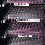 全自動微生物鑒定藥敏分析儀AutoMic-i600