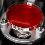 微生物樣本前處理系統(tǒng) AutoStreak S1800