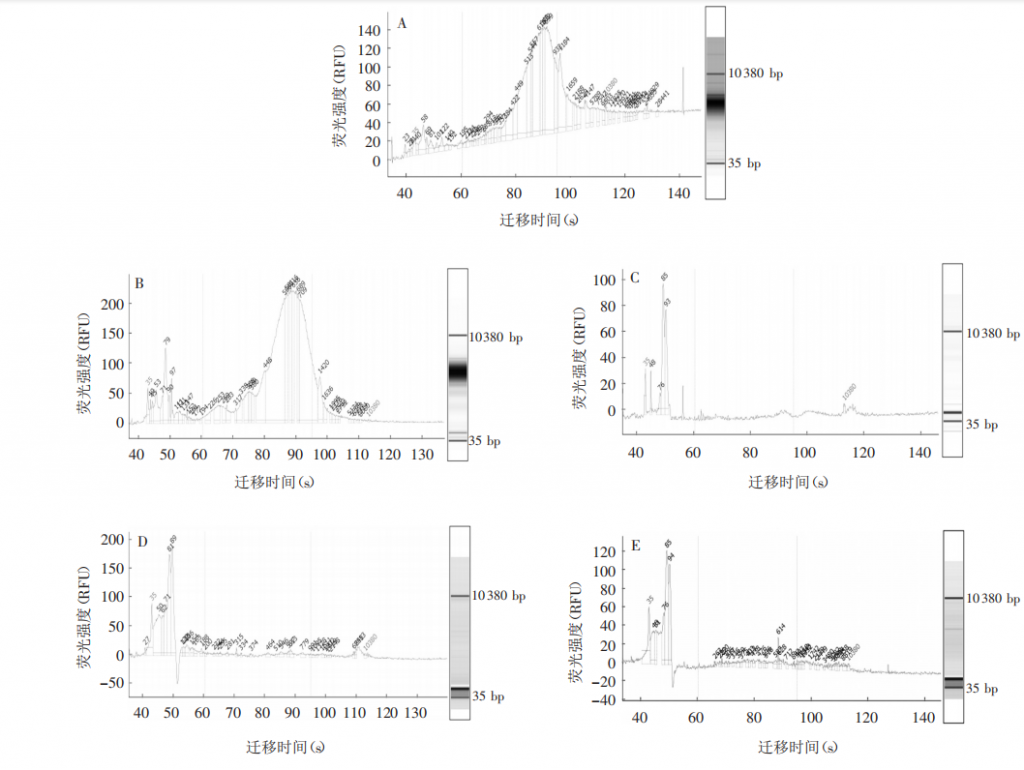 文獻(xiàn)解讀 | 《宿主細(xì)胞殘留 DNA 片段大小分布檢測(cè)方法的建立及驗(yàn)證》